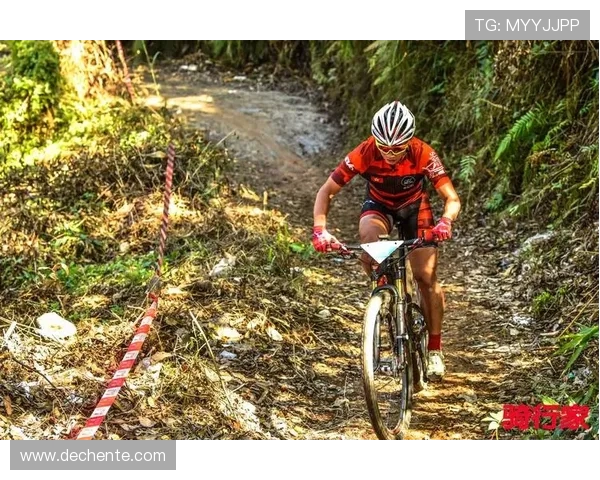 广州极限运动队荣登全国力量排行榜第六名展现实力与激情